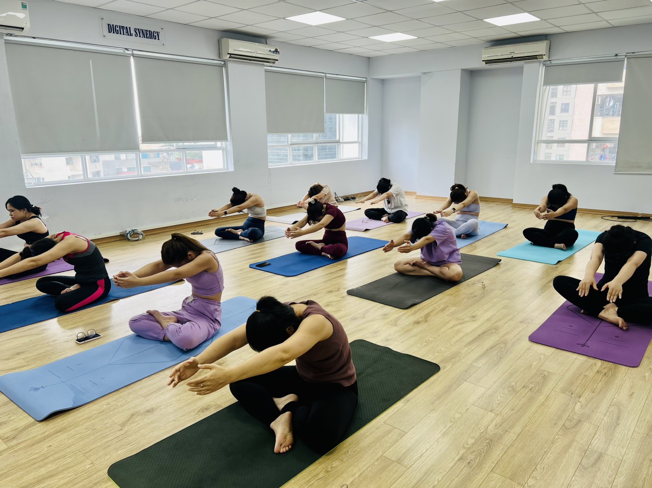 Daily News: Explore the new Yoga Club at TSO
